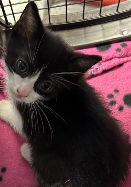 8c7ecb85 957b 4a66 b6db 34f25569c5c4