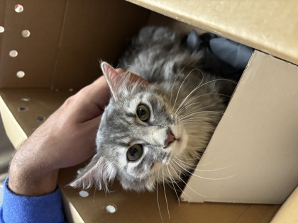 8e1ca5ac 0201 4f96 a25d 8599ef9072c7