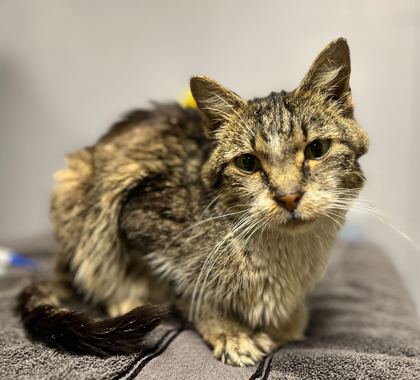 923125fa f9fd 4c7c af50 c45ffb996d67