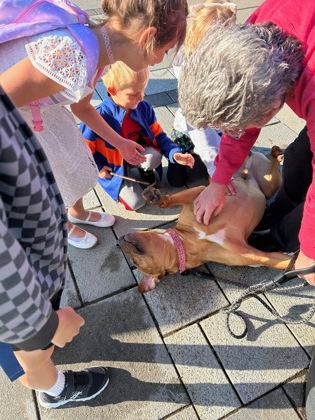 View Fernando the Dog Photo #2