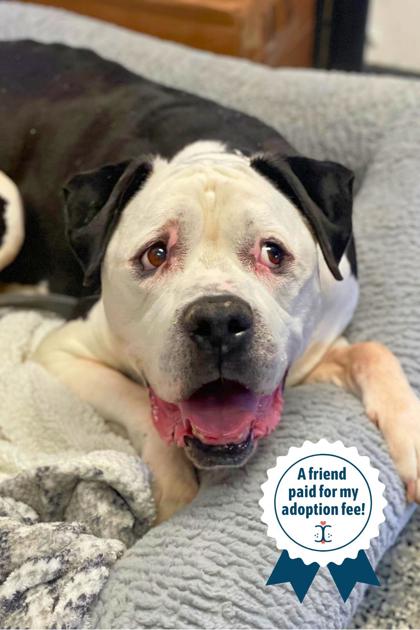 990d00a8 7c0c 4b7f ac21 5f151064bf0b