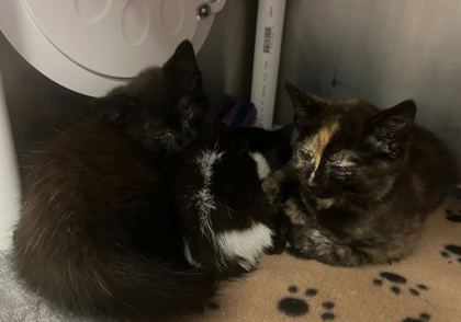 a044f30b df8b 44e4 bd51 2a6e8648a813