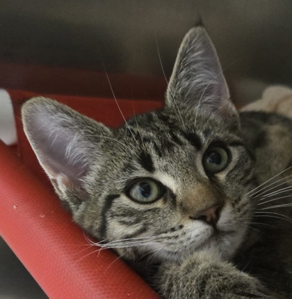 a0d2f2ab f68f 4abd a12c 2b1cdd5996e3