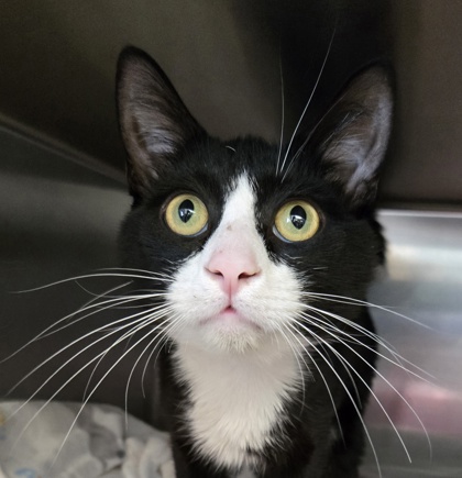 a339c754 9f74 4fda 8121 3bb03f120ad9