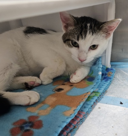 a6582023 e3c5 4bf2 b4c2 dde8263a2d00