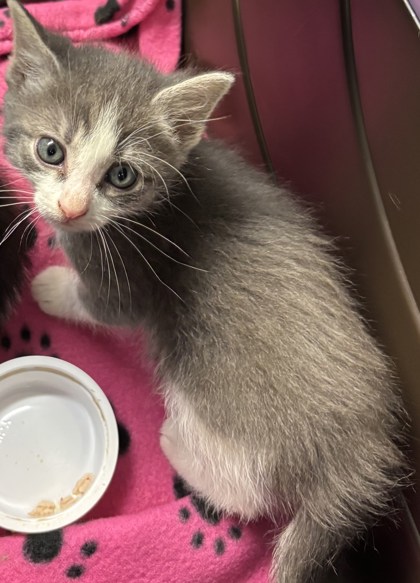 aaffce5b efda 41ae abae a8878e2798b6