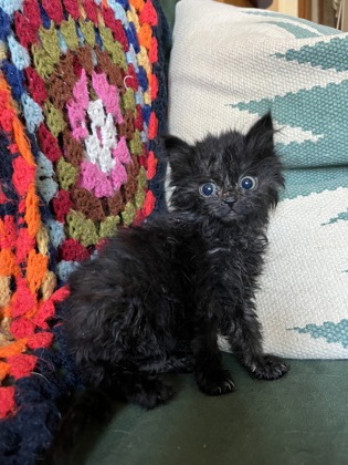 ace9fdc3 f739 4d66 a6f7 4821513dbe7e