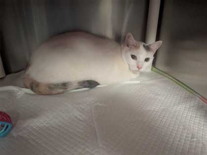 af390f26 d071 4d84 bef1 6b008a7b3955