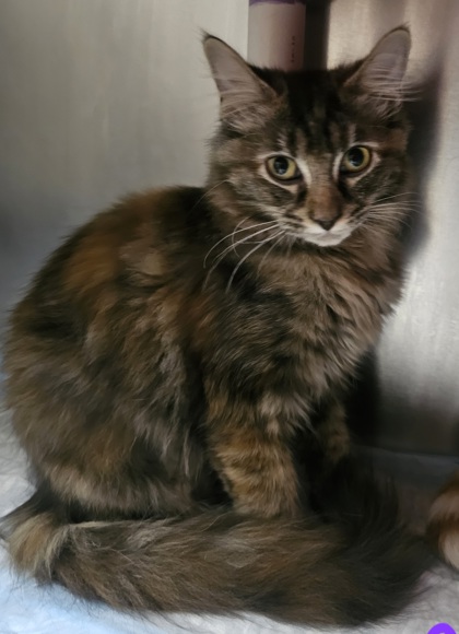 af7eb83a 8fe7 4e6b 8793 6355ac57d4c1