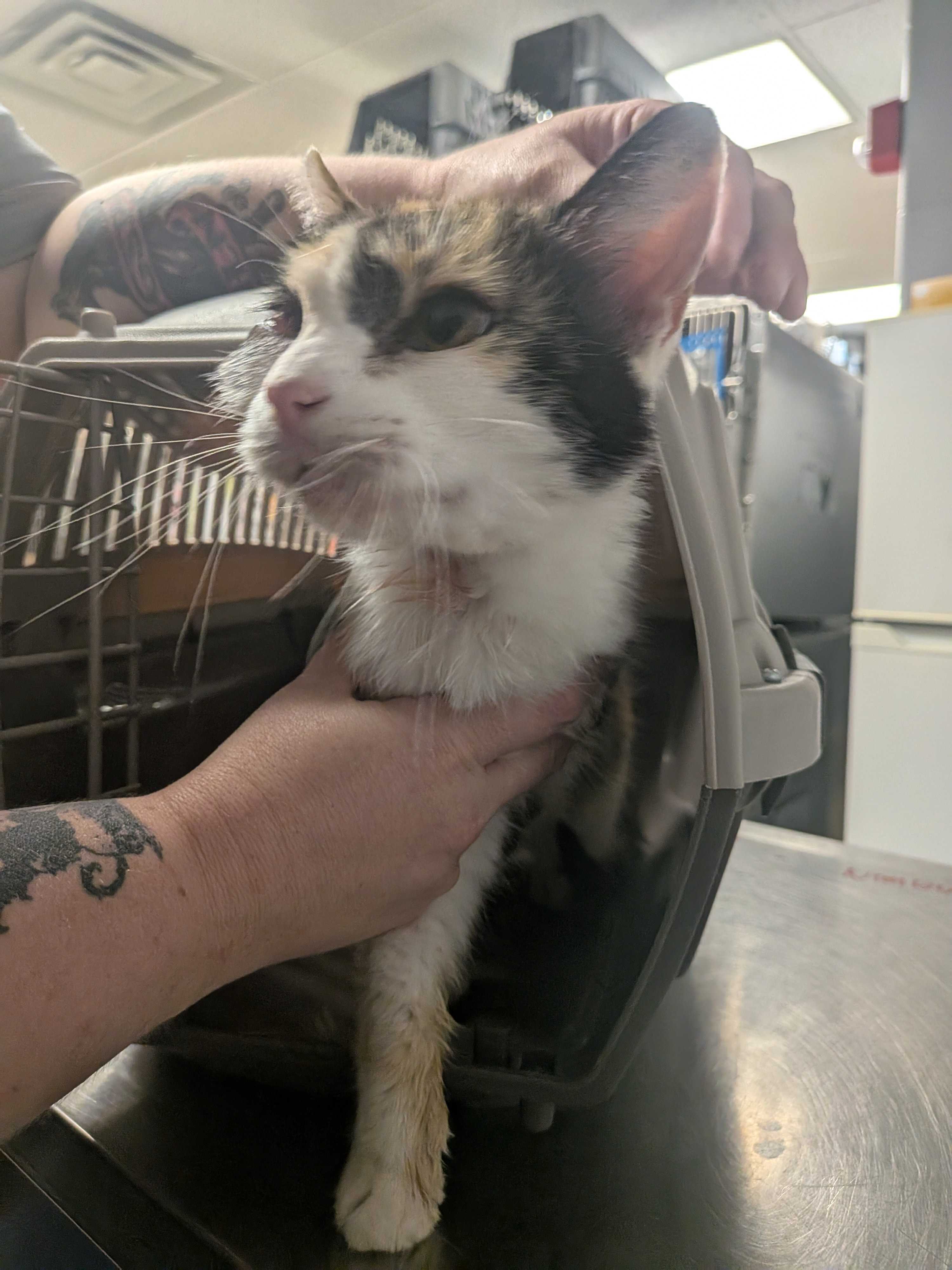 b1ddd662 a5b5 4fa1 9ac1 2b39e3bc0cd1