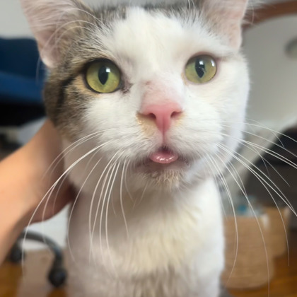 b785ccb4 ffd8 458b 8319 43e2f04dd46e