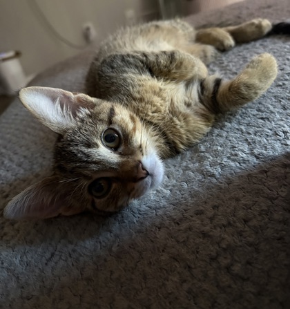 c503a1e5 05aa 42ea bbdc d5cd67a67ed2