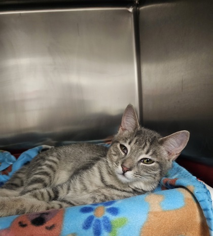 c96ca633 1561 4a7c 9094 d3c708b9d9c8