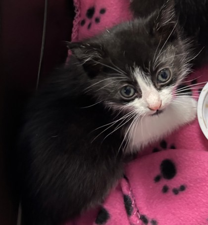 cacf9e9e 75db 428e 84c2 f22fde7e5fe4