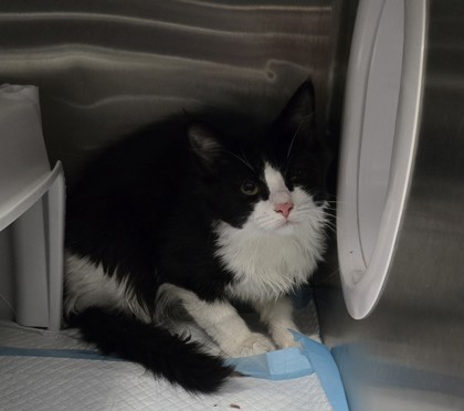 d0748255 ad7e 4fff aeb5 0b42ffd18c75