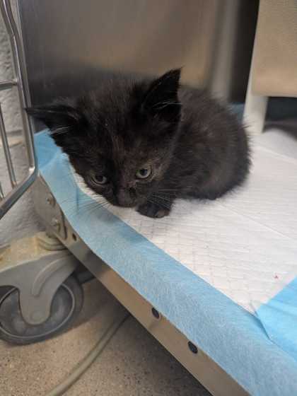 d206e7e3 9dea 43df a09b ef6eb8055497