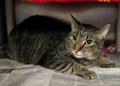 d26c0556 a129 48c3 bb36 f15d6c2c60cf