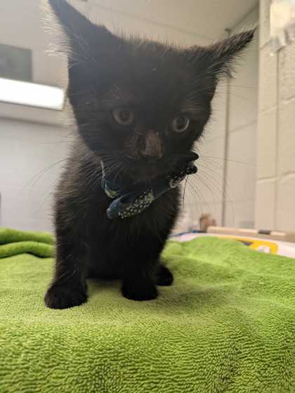 d46bd47d 5d78 4a48 8195 743ac2cf42b1