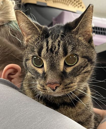 d8160288 f2b4 436a a0e8 bcf00f722408