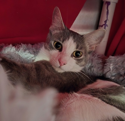 d85f145e d29b 4512 a3d5 54bb085da3d5