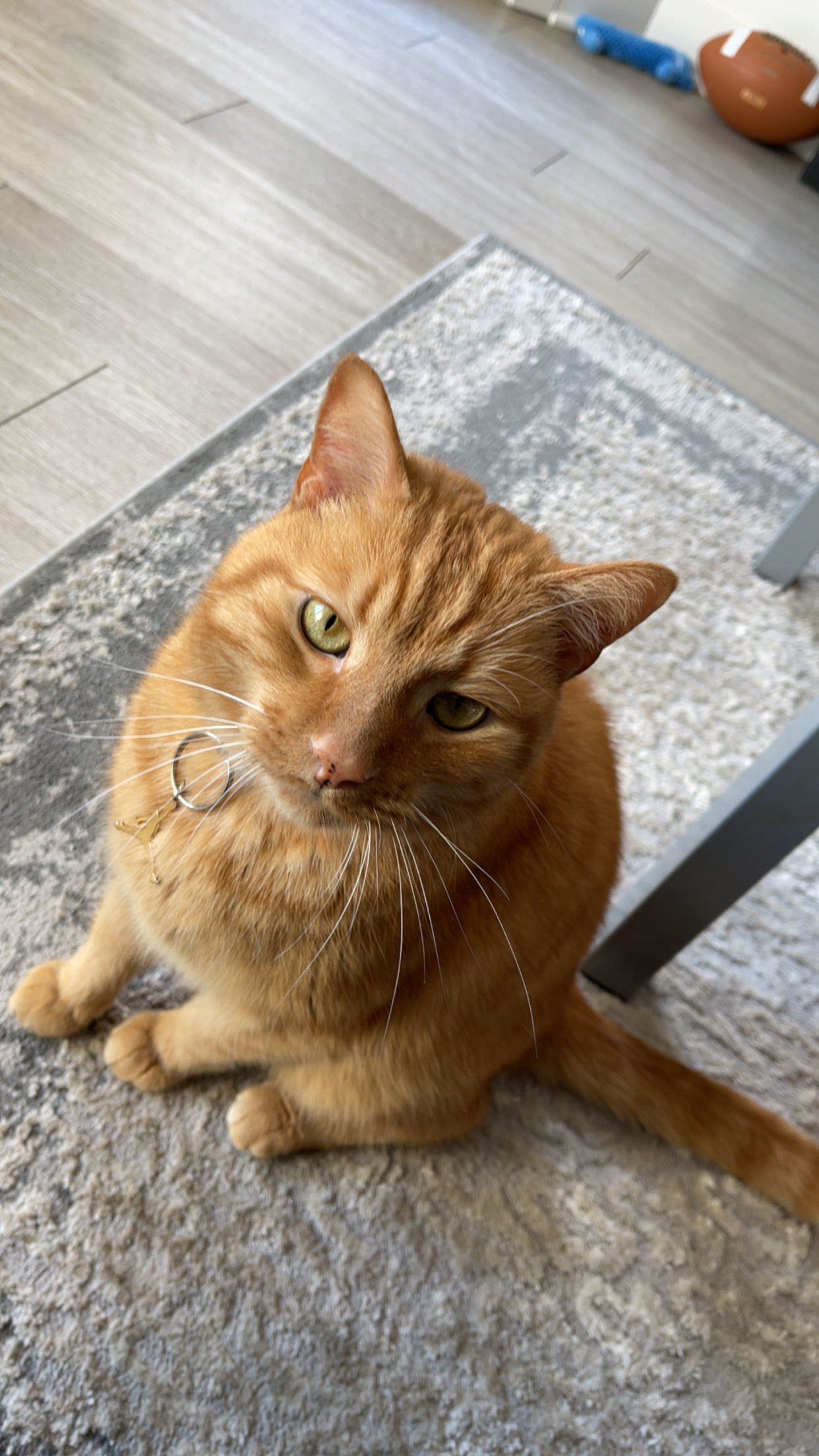 d9e5d02c 0b44 499e af89 d2f7b0235e7b