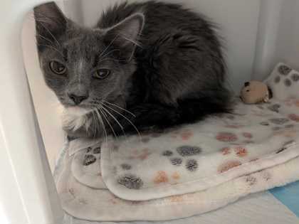 de418a07 1627 4cc2 b359 811fdad30f56