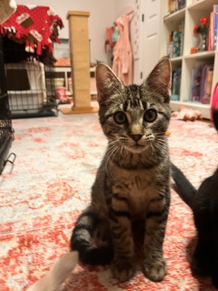 df972376 5a1b 4bd4 9c53 9e4e6661fded