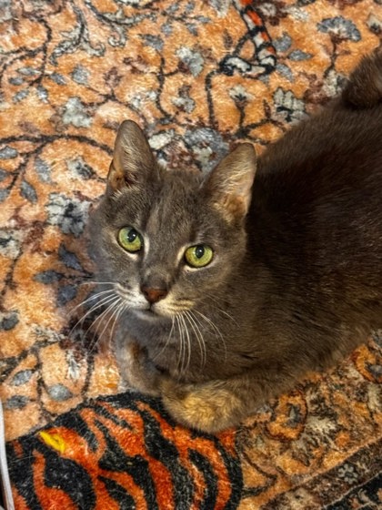 e4575ae0 ee0d 43f0 9c55 f61a951917a3