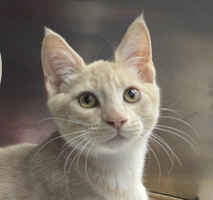 f6fcfe93 0e90 4f0c 81d8 b35f1c747a03