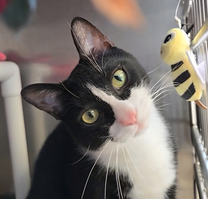 f7d3e0dc 9eb9 47d6 9376 9ec778edbb21