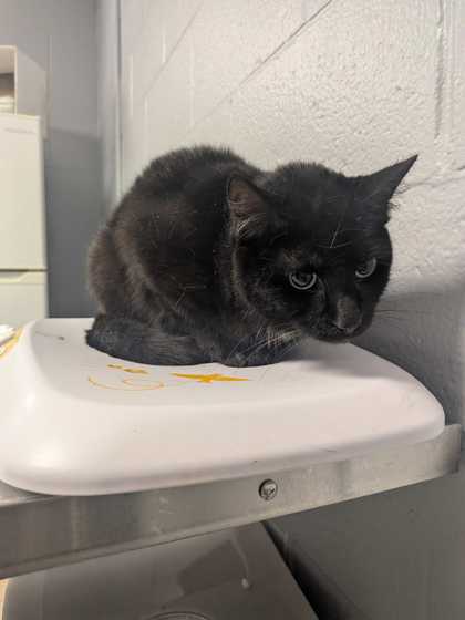 fb99063f a72f 4b71 92ed 9364d324417e