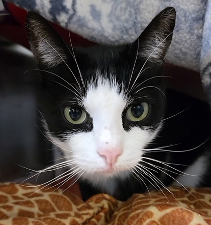 fc29eadc c2f3 41a5 b0e4 5318c11eb63f