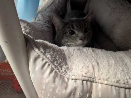 fc4e233c e533 4970 93cb c8379f1ec6ec