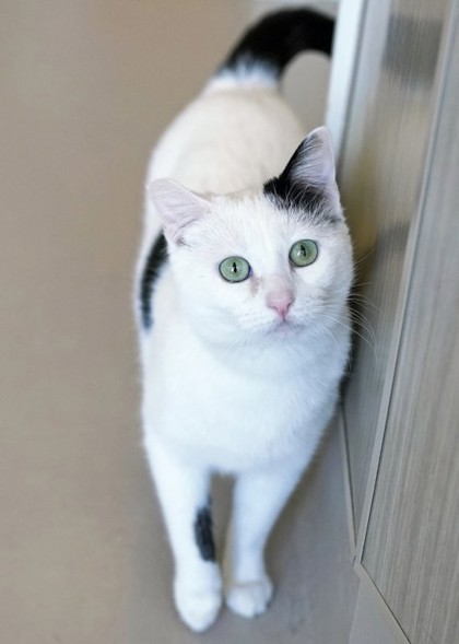 Fiona photo