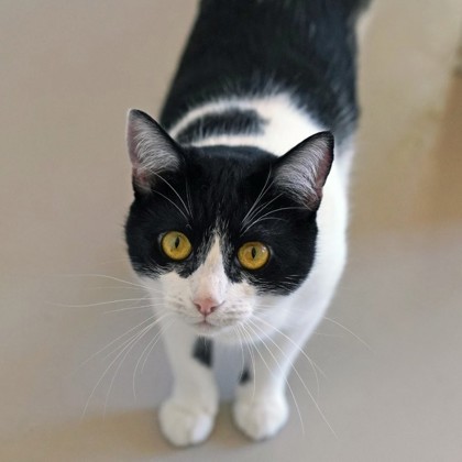 Nancy photo