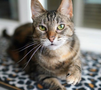 Freya photo