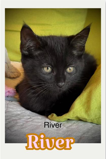 Photo of River