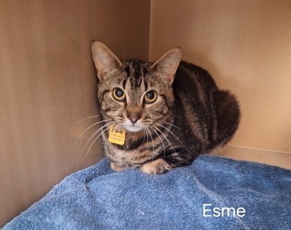 Photo of Esme