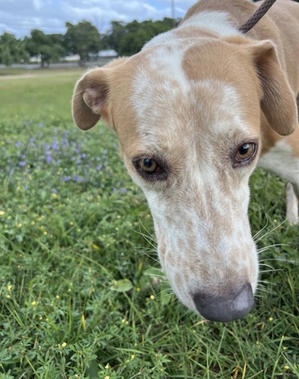 Doug photo 3