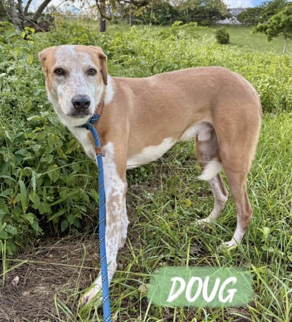 Doug photo