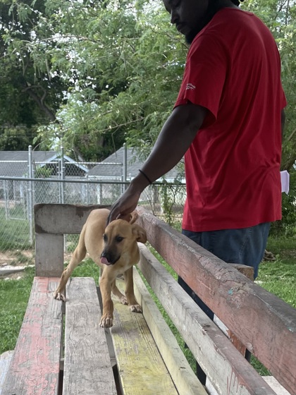 Braxton photo 3