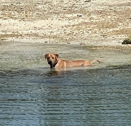 Max #2 photo 2