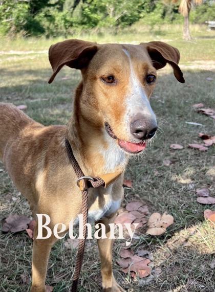Bethany photo