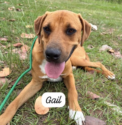 Gail photo