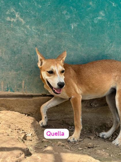 Quella photo