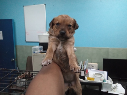 Amazon photo