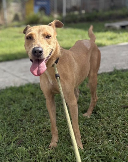 Nyla photo