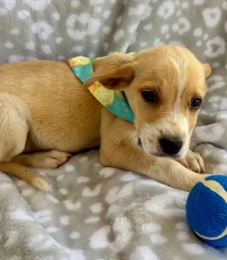 Luigi photo