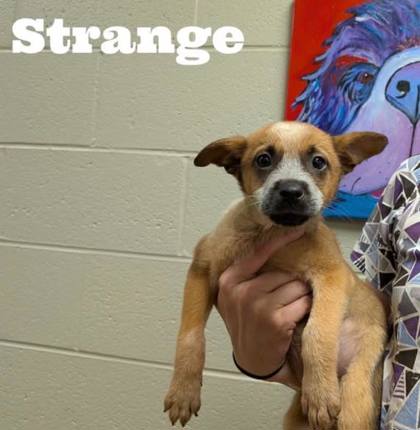 Strange photo
