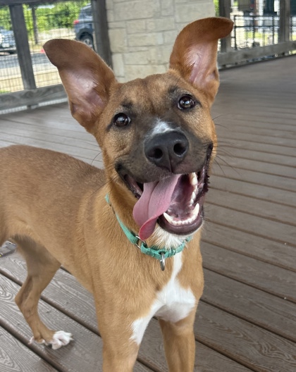 Sprees